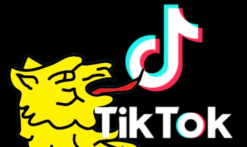 I’m on tiktok #9-Iohannis want in NATO